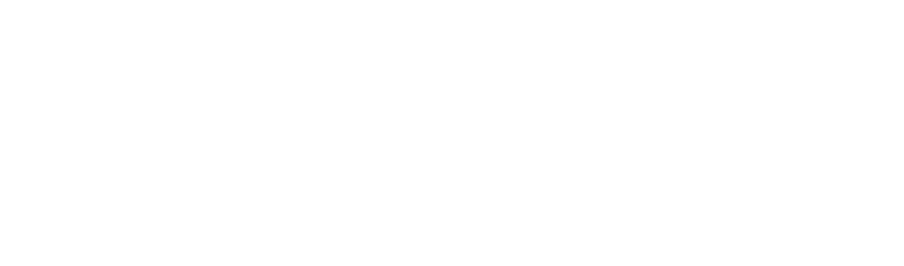BADKNee
